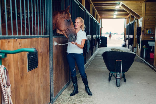 istock Woman in a barn with her horse 839127354