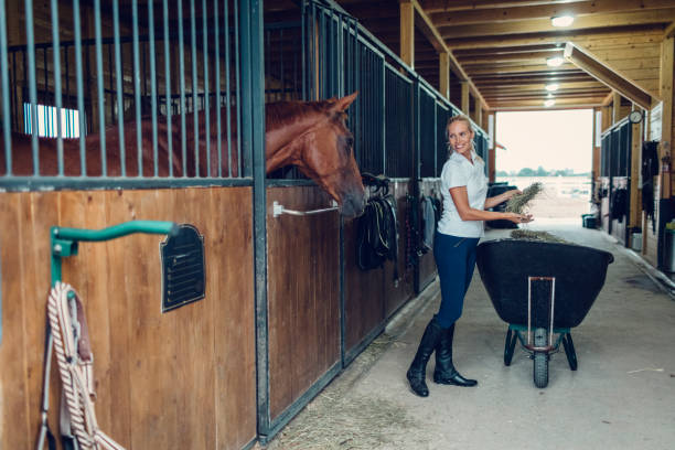 istock Woman in a barn with her horse 839127760