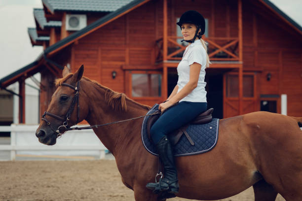 istock Female rider with her horse on training 839128266