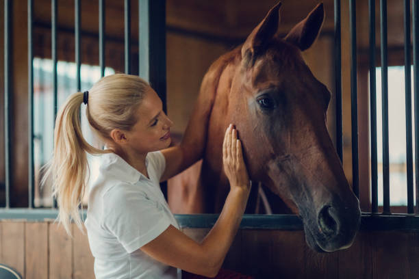 Woman in a barn with her horse Woman in a barn with her horse. She is stroking him and smiling. horse stock pictures, royalty-free photos & images