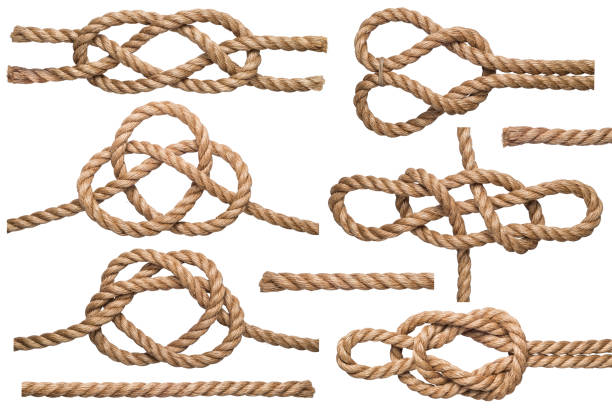 3D rendering illustration of a bowline knot