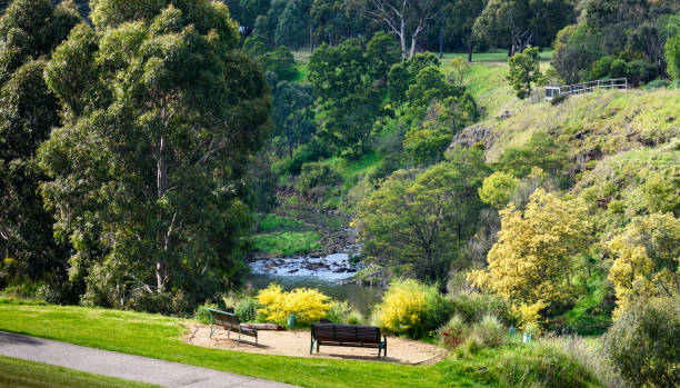 merri creek - melbourne australia yarra river river fotografías e imágenes de stock