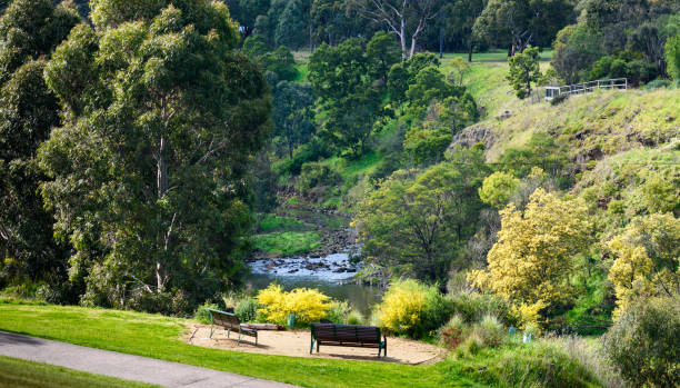 Merri Creek A view of Merri Creek that travels through much of the inner Melbourne suburbs and joins the Yarra River yarra river stock pictures, royalty-free photos & images