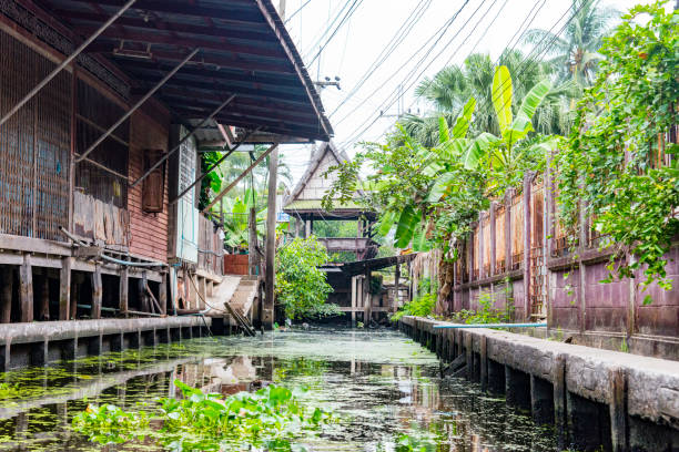 schwimmender markt, bangkok, thailand - stand up paddling stock-fotos und bilder