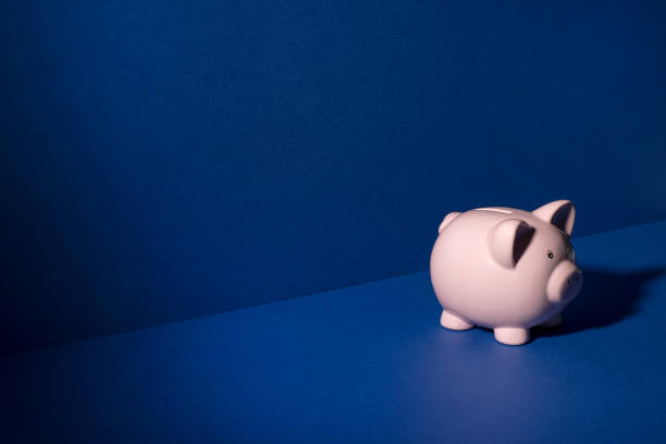 istock Piggy Bank On Blue Wall and Floor Background Copy Space 839165746