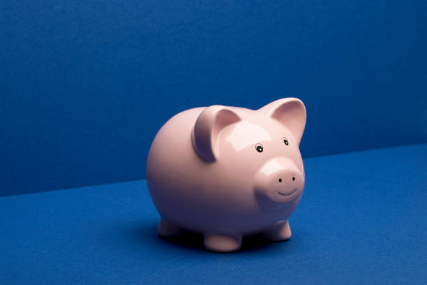 istock Piggy Bank on Blue Floor and Wall Background 839165764