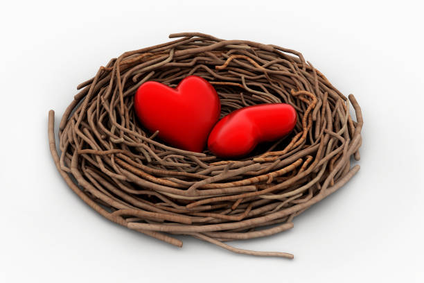 istock Two red heart in a bird nest 839166454