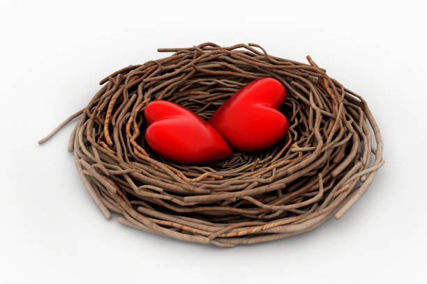 istock Two red heart in a bird nest 839169408
