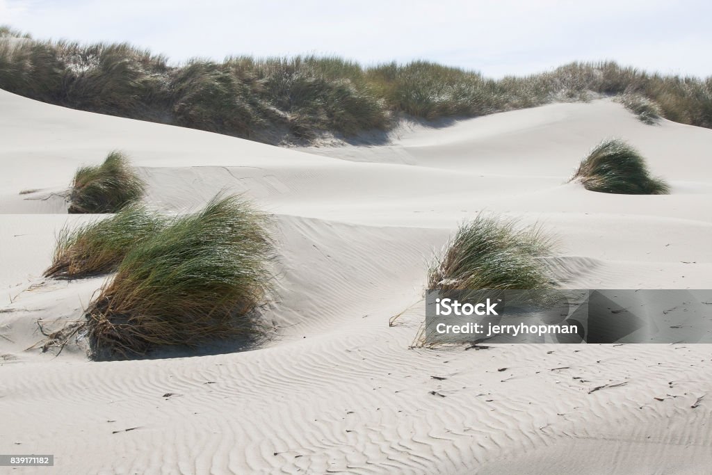 Dunes Dunes at Oregon Dunes National Recreation Area in Florence, Oregon. Famous Place Stock Photo