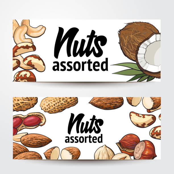 illustrazioni stock, clip art, cartoni animati e icone di tendenza di design striscione con cocco, anacardi, arachidi, nocciole, mandorle, noci del brasile - white background freshness variation brown