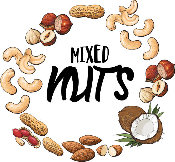 круглый каркас из различных орехов с круглым местом для текста - people snack almond brown stock illustrations