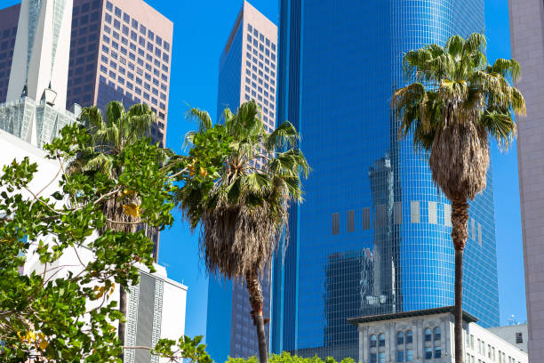 istock Multi-storey buildings and palm trees in Los Angeles 839186892