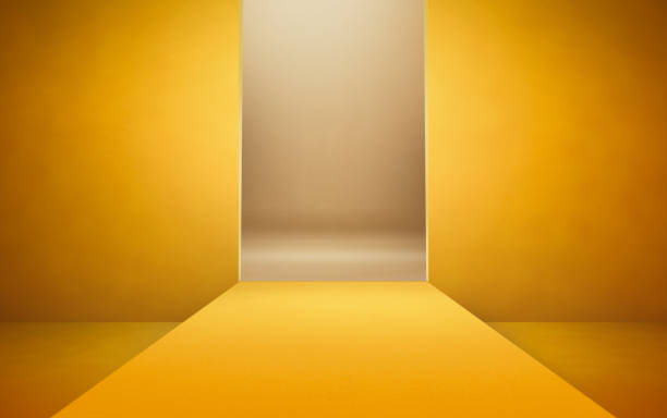 istock Empty catwalk background for fashion shots 839193740