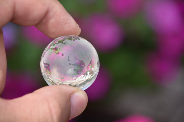 istock Flowers in the nursery Through a crystal ball 839199140