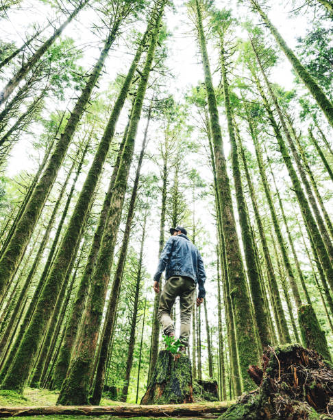 istock man hiking in british columbia 839205440