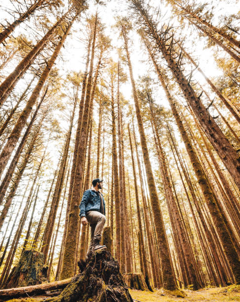 istock man hiking in british columbia 839205756