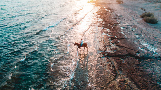 Mexican sunset near Cabo san Lucas with man and horses.