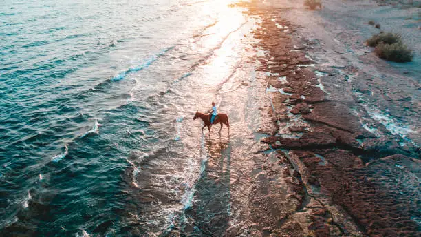 Photo of Man riding on horse on the beach over sunset