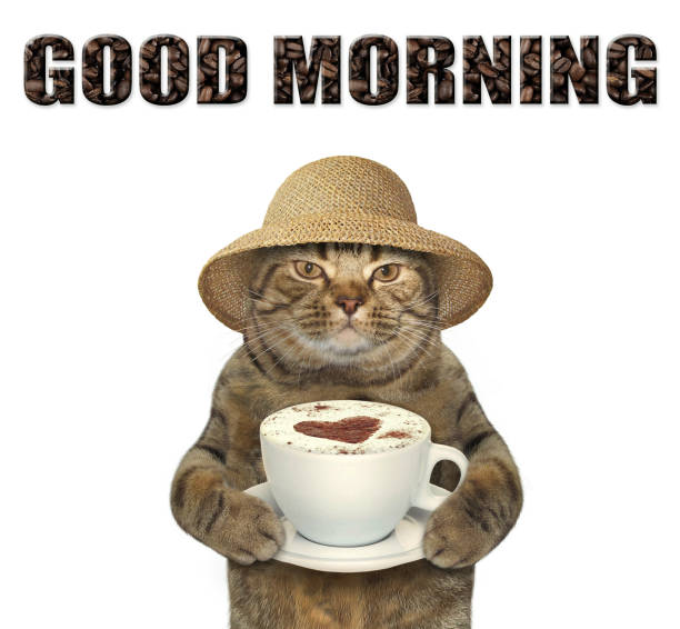 istock Cat with cup of coffee 839207666