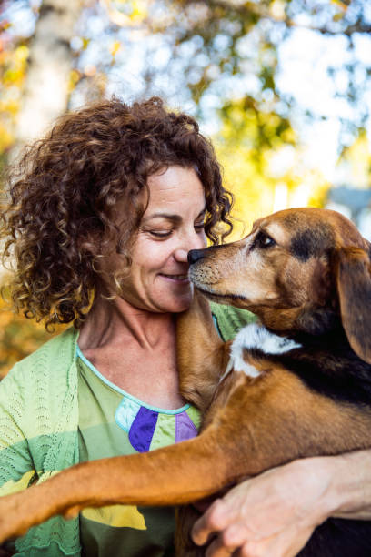 istock Woman playing with dogs on the backyard 839213218