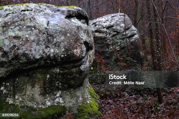 Smile From The Forest Stock Photo - Download Image Now - Anthropomorphic Smiley Face, Autumn, Boulder - Rock