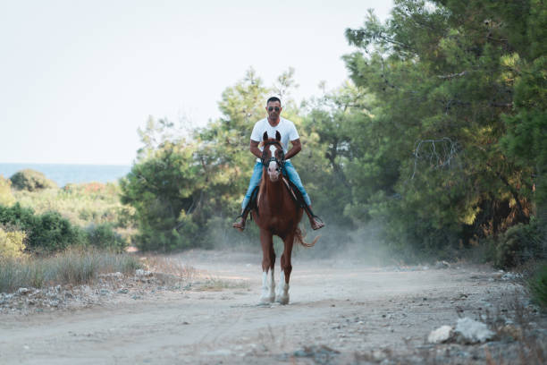 Man riding on horse in forest