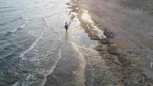 Man riding on horse on the beach over sunset aerial view