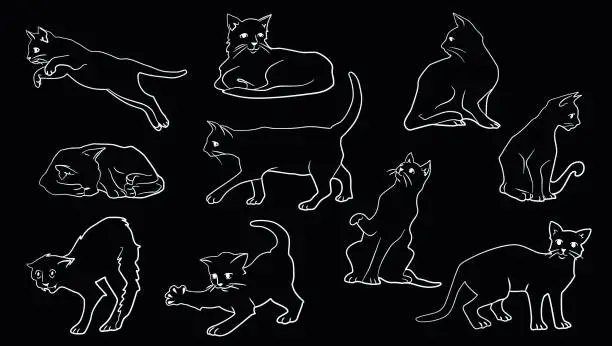 Vector illustration of Gatti Cats