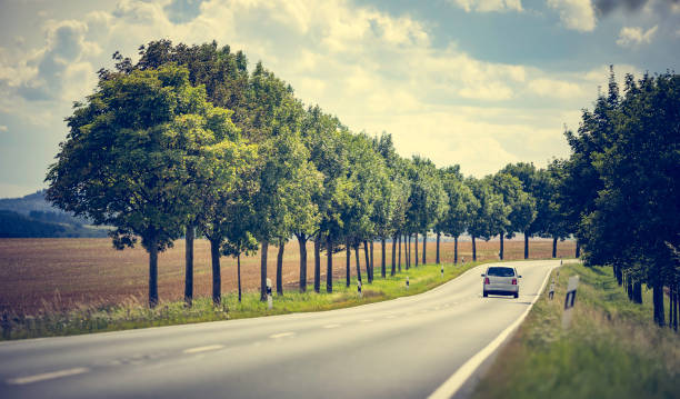 two lane country road between trees and green fields in a rural landscape