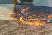 holz-ist-mit-feuer-behandelt.jpg?b=1&s=170x170&k=20&c=tdYJ6DLed9ESdqamiEtlona1VvY9sJu_r2Hj5RouHc4=