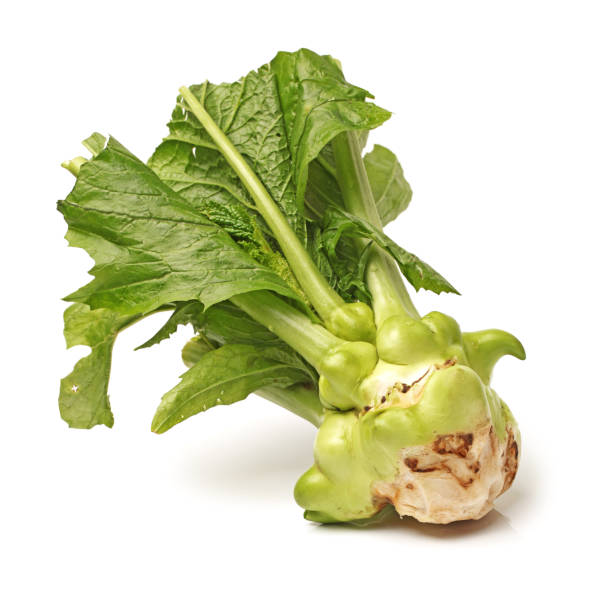 Brussels mustard on white background