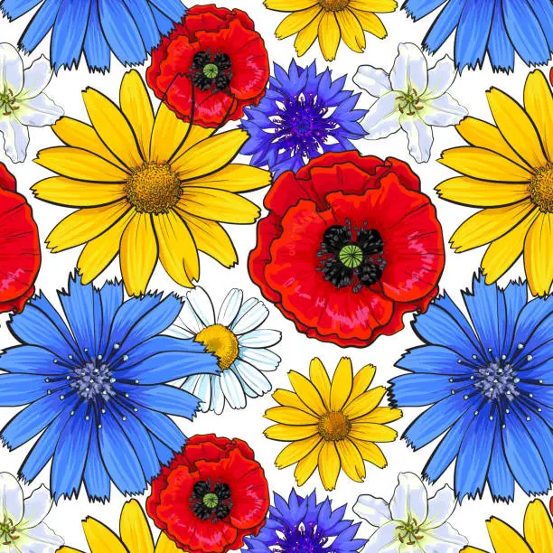 Vector illustration of Seamless pattern of top view wild and garden flowers