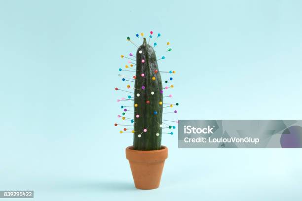 Cactus Voodoo Stock Photo - Download Image Now - Eccentric, Offbeat, Creativity