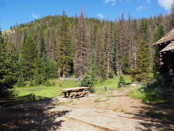 istock summer in Rocky Mountain National Park 839296104