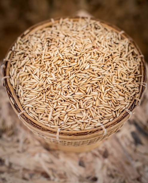 istock Paddy rice in basket closed up shot 839296656