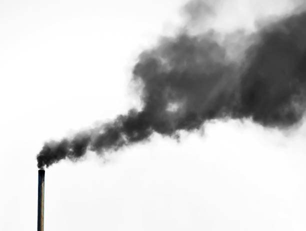 istock Dirty smoke on the white background 839297010