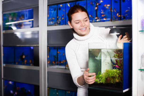 istock Teenager looks at young fish 839312088