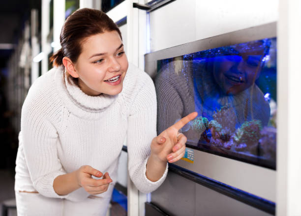 Girl in aquarium shop points to colored fish Attractive teenager in aquarium shop points to interesting colored fish on several rows of shelves with aquariums tinfoil barb barbonymus schwanenfeldii stock pictures, royalty-free photos & images