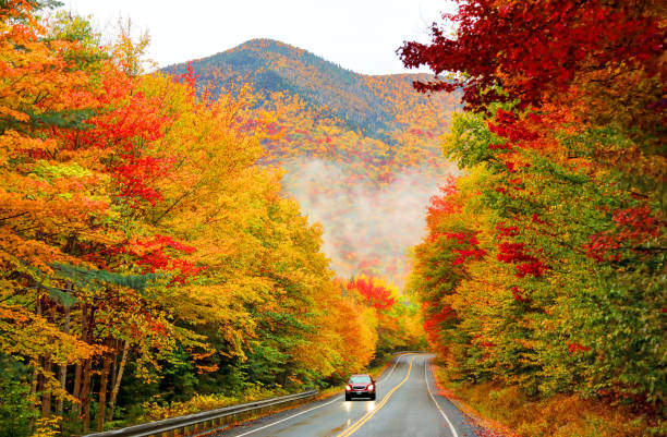 kancamagus highway dans le nord du new hampshire - autumn landscape usa country road photos et images de collection