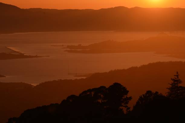 istock Evening twilight in Berkeley, California USA 839331986