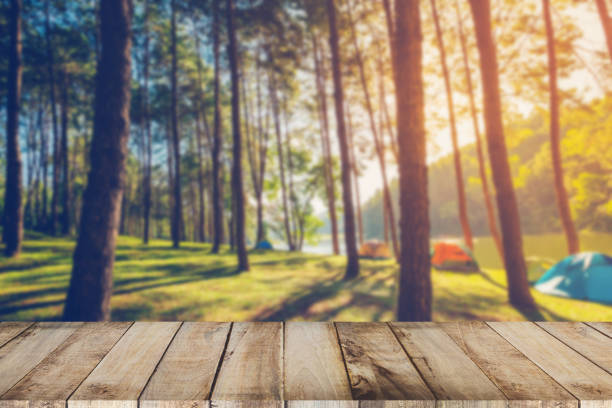 istock Abstract blurred pine tree and wood table with sunlight vintage 839340752