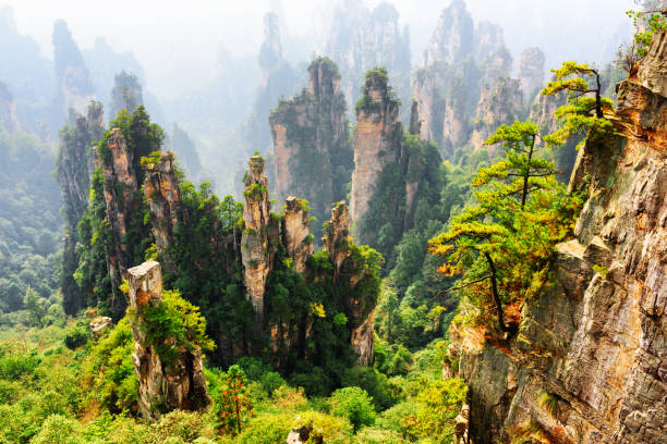 istock Fantastic top view of quartz sandstone forest 839343052