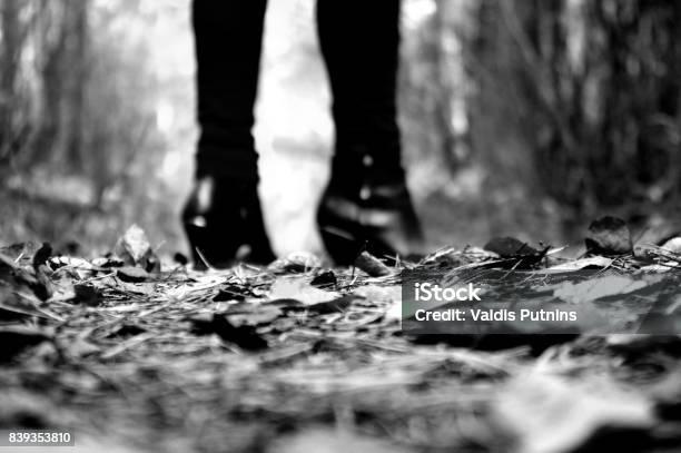 Human Legs Stock Photo - Download Image Now - Abstract, Adult, Adults Only