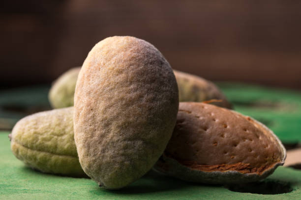 istock A fresh green almonds in the peel is fresh from the tree. Almonds on a black background. Macro. Fresh Harvest. 839361330