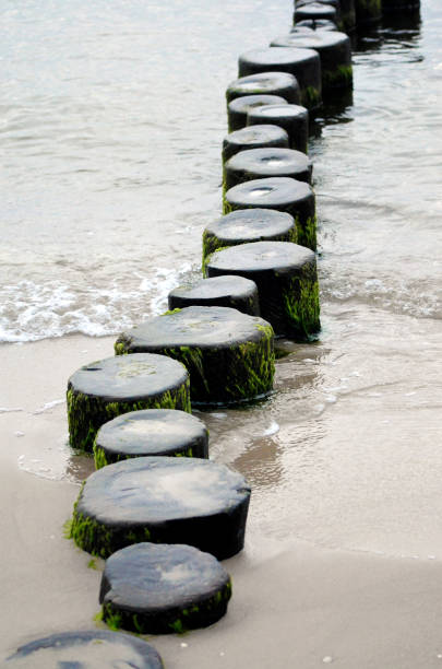 istock Breakwater in the Baltic Sea 839364624