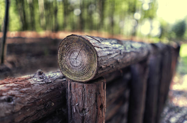 Outdoor circular wood fence