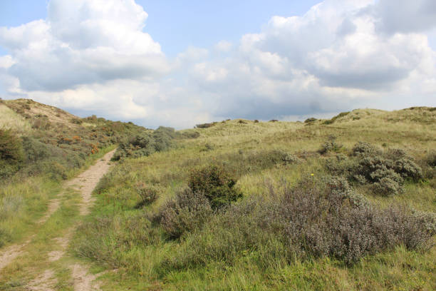 istock dunes landscape, Noordhollands Duinreservaat 839372832