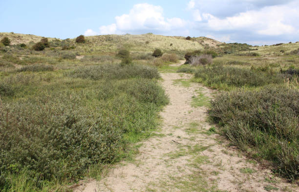 istock dunes landscape, Noordhollands Duinreservaat 839372890