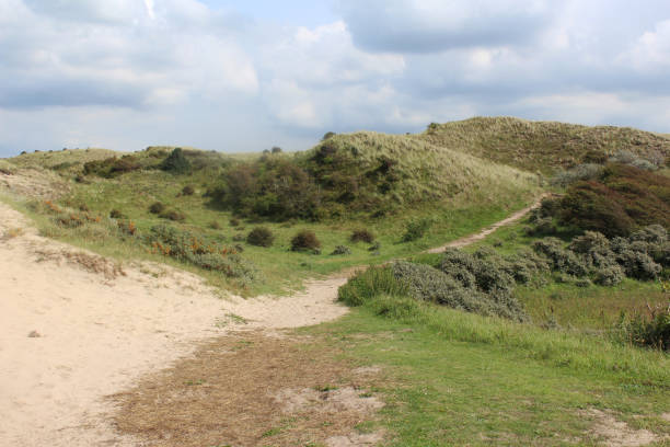 istock dunes landscape, Noordhollands Duinreservaat 839373568