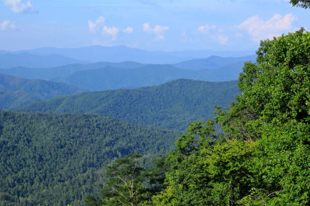 istock Great Smoky Mountains With Trees on Mountain Slopes 839387710